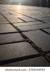 vertical low angle close up of paving stones texture with moss and golden sunlight