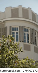 Vertical low angle shot of an elegant white heritage building facade with grey shutters behind a small citrus tree with ripe fruits.