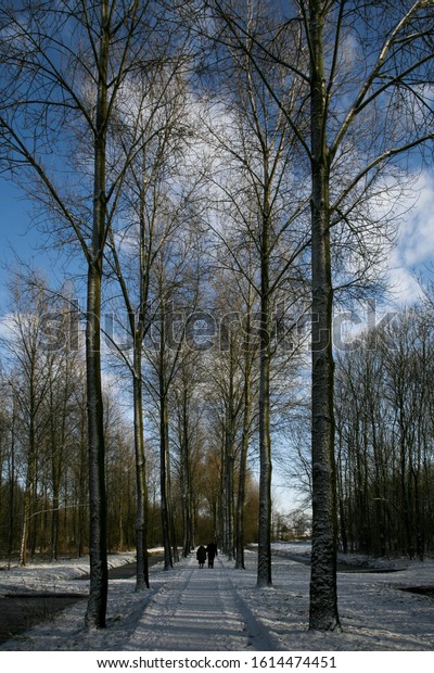 Vertical Low Angle Shot Walking Road Nature Stock Image