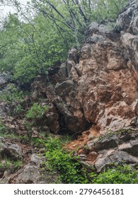 A vertical low-angle shot capturing a rugged, weathered rock formation cutting sharply through a dense green forest. The steep cliff face displays complex geological textures, with layers of rough, fractured stone varying in color from cool greys to warm, rusty shades of orange and brown. Lush green bushes and small plants grow out of the crevices and cling to the base of the rocky incline, while a thick canopy of deciduous trees with fresh spring foliage frames the top of the ridge against a soft, overcast sky. The composition emphasizes the raw, untamed beauty of a natural mountain landscape. Shot in natural, diffused daylight, this scenic image is perfect for themes related to geology, hiking, outdoor adventure, wilderness exploration, and environmental conservation.
