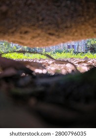 Vertical low-angle shot looking through a narrow dirt or tree root gap at a sunny forest floor with green grass and scaffolding in the background. The photograph sharply captures a unique peekhole perspective from a ground-level view, highlighting the contrast between the heavily blurred dark organic foreground and the brightly lit outdoor greenery. Shot under bright daytime sunlight, the composition emphasizes an intriguing depth of field with a soft botanical bokeh and rustic environmental layers. This high-resolution nature material and creative landscape stock photo serves as a premium graphic asset for environmental awareness blogs, travel lifestyle publications, storytelling editorial layouts, and abstract organic backdrops.