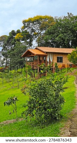 A vertical medium shot of a rustic brick cabin or chalet with an orange tiled roof and a wooden balcony porch. The house is built on a lush, sloping green grass hill surrounded by fruit trees, including citrus bushes in the foreground. Tall native trees, including Araucaria angustifolia, stand against a cloudy sky in the background. Photographed in the countryside of Santo Antonio do Pinhal, Serra da Mantiqueira, Sao Paulo, Brazil.