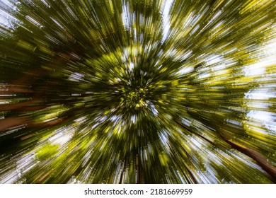 33,928 Woods vertical Images, Stock Photos & Vectors | Shutterstock