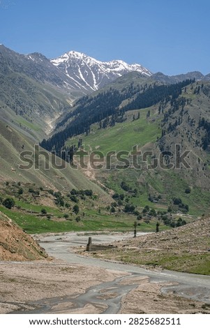 Vertical mountain landscape view with river and snowcapped peak near Naran, Kaghan valley, Khyber Pakhtunkhwa, Pakistan