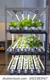 Vertical multi-level indoor hydroponic vegetable farming with led lighting in controlled enviroiment