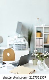 Vertical No People Selective Focus Shot Of Modern Office Interior With Laptop, Flowers In Vase, Tea Cup And Documents On Table