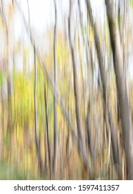 vertical panning background forest and trees 