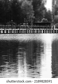 Vertical Park Pier Water Reflection Backdrop