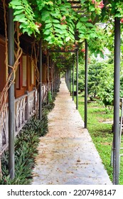 Vertical Pathway On Backyard In Garden Of Vietnam Without People