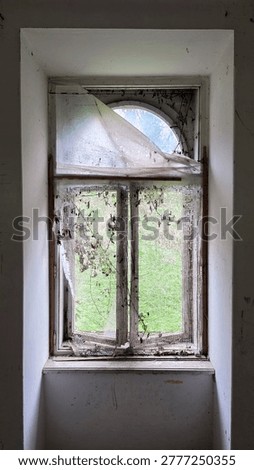 A vertical perspective from a dark room looking through a weathered wooden window frame. Torn white lace hangs over the glass, revealing a lush green garden view with climbing ivy outside