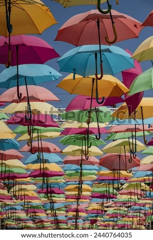 A vertical perspective displaying colorful umbrellas during a Fall festival located in Batesville, Indiana.