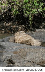 Vertical perspective of a large light brown rock boulder stacked on a riverbed with wild green plants and trees growing densely in the background.
