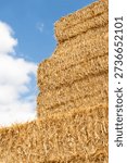 Vertical perspective of a large stack of rectangular straw bales against a blue sky. Close up texture of dry wheat and flax harvest in a rural field.