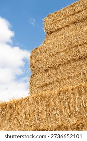 Vertical perspective of a large stack of rectangular straw bales against a blue sky. Close up texture of dry wheat and flax harvest in a rural field.
