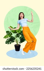Vertical photo artwork collage of young excited surprised woman ecology gardener activist stay near houseplant ficus isolated on painted background - Shutterstock ID 2256235241