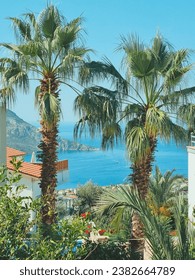 vertical photo with a beautiful view of green palm trees, mountains and blue sea. beach holiday concept, summer vacation by the sea. soft focus. copy space
