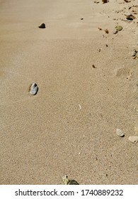 Vertical Photo: Sand Of A Mexican Beach From Riviera Maya With Small Pebbles And Rocks.