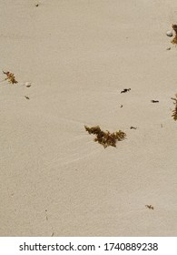 Vertical Photo: Sand Of A Mexican Beach From Riviera Maya With Small Pebbles And Algaes.