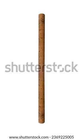 Vertical pine tree trunk on isolated white background