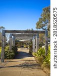 Vertical portrait composition looking down a timber pergola pathway surrounded by native grasses and trees at Bullion Park in Woodlea Estate, Aintree.