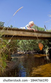 Vertical Portrait Of A Smiling Boy With A Fishing Net Laying On A Small Wooden Bridge Over The Stream