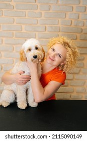 Vertical Portrait Of Smiling Female Groomer Holding Curly Labradoodle Dog After Haircutting At Grooming Salon. Attractive Woman Pet Hairdresser Doing Professional Care In Veterinary Spa Clinic.