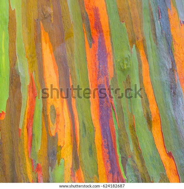My Image 72