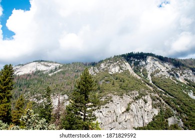 The Vertical Rock Of Granite Monolith With Pine Forest In  Sierra Nevada , California.