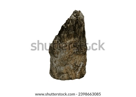Vertical sample raw of Calc-Silicate  rock stone in Cambro-Ordovician Period isolated on white background. Outdoor garden decoration stones.