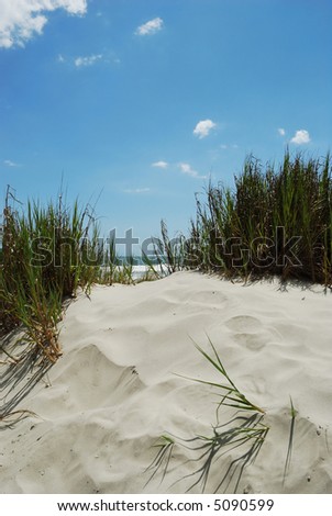 Vertical Scenic Beach view from sandunes and sea oats
