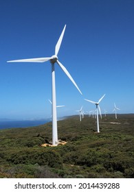 A Vertical Shot Of Albany Wind Farm In  Australia In Green Trees Field With Blue Sky