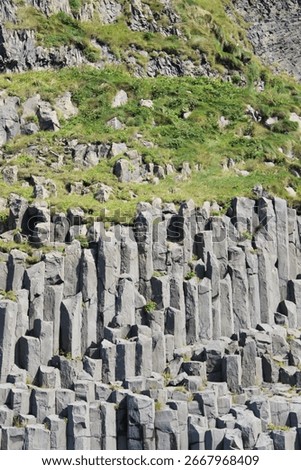 A vertical shot of basalt columns during daytime in Iceland