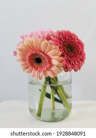 Gerbera の画像 写真素材 ベクター画像 Shutterstock