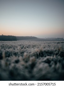 A Vertical Shot Of A Beautiful Snowy Field During Sunset