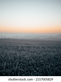 A Vertical Shot Of A Beautiful Snowy Field During A Sunset