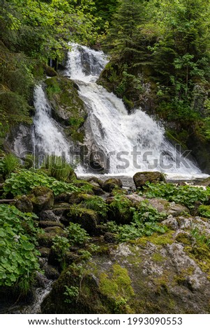 Similar – Image, Stock Photo Triberg Waterfall