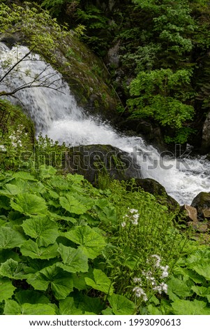 Similar – Image, Stock Photo Triberg Waterfall