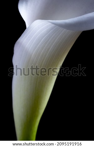 Similar – Image, Stock Photo interior life Nature Plant