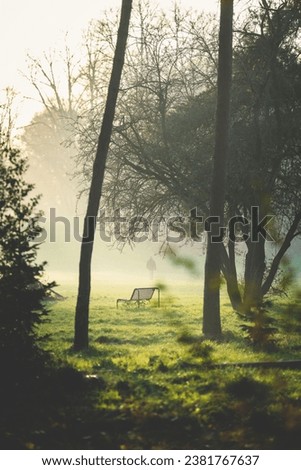 A vertical shot of a bench in the beautiful Beethovenpark in Cologne, Germany