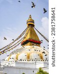 A vertical shot of the birds flying over the Boudhanath Stupa and temple in Kathmandu Nepal