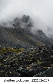 A vertical shot of black volcanic rocks covered in moss with a foggy voclano in the background