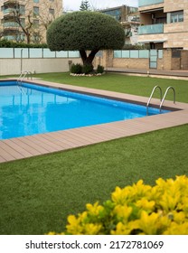 Vertical Shot Of Bright Blue Swimming Pool Clean Water And Green Fresh Lawn, Yellow Plants And Big Tree With Houses At Residential Hood Garden, No People Lifestyle Concept Summer Outdoors