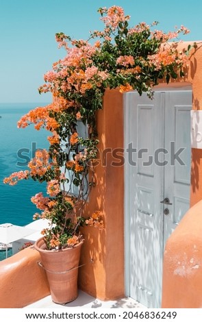 A vertical shot of a building entrance with flowers in Santorini, Greece