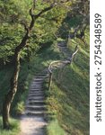 A vertical shot captures a rustic dirt path with wooden steps winding up a steep grassy hill; a simple wooden handrail follows the curve of the stairs, and the scene is framed by leafy green trees under soft, natural daylight.