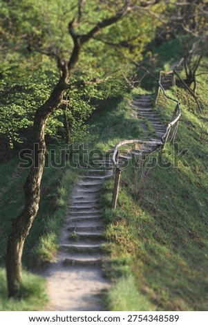 A vertical shot captures a rustic dirt path with wooden steps winding up a steep grassy hill; a simple wooden handrail follows the curve of the stairs, and the scene is framed by leafy green trees under soft, natural daylight.