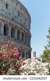 A Vertical Shot Of The Colosseum On The Blue Sky Background, Rome, Italy