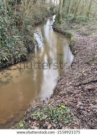 A vertical shot of a dirty small river in a forest