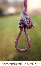 A Vertical Shot Of Double Bowline Loop Knot