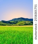 Vertical shot of Drakensberg Mountains with a green grass field in the foreground, capturing the landscape