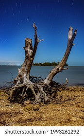 A Vertical Shot Of A Driftwood At A Shore Against A Bright Starry Blue Night Sky